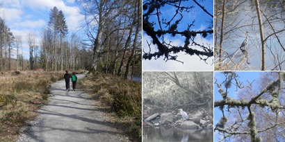 Drumboe Woods Easter 2013