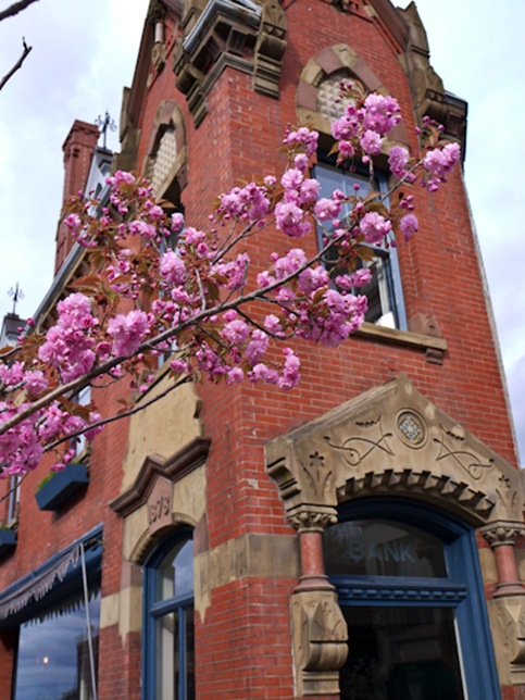 belfast-1020163 belfast-1020163