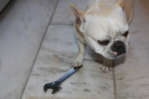Francesca, I'll just use this wrench and tighten up the pipe joints.  I've seen this kind of thing before.