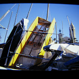 Temporals (Fotografies realitzades per Gerardo Carrera)