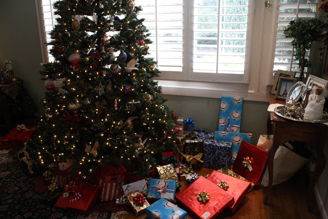 [December%25202012%2520335%255B2%255D.jpg]