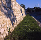 (5_of_25)-2.jpg