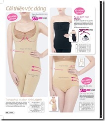 Catalog19-100