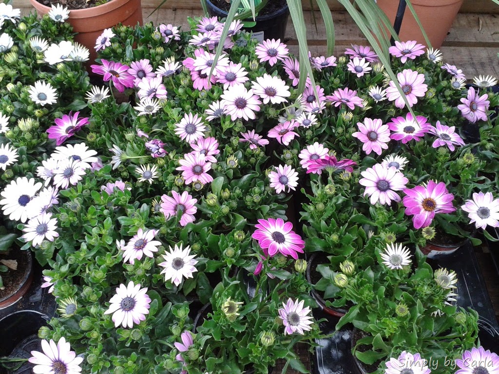 [20140413_111953%255B8%255D.jpg]