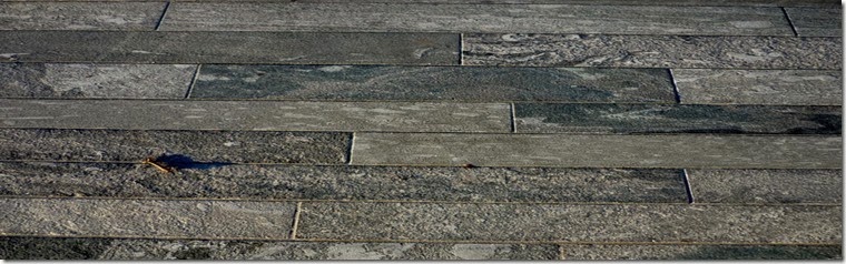 P1090291 P1090291