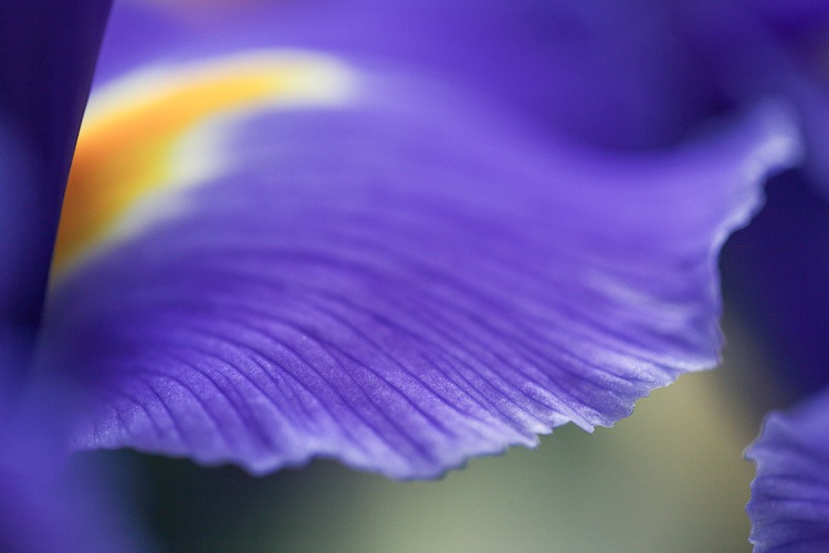 IMG_4346 IMG_4346