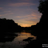 dsc03388.jpg