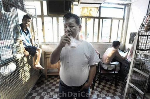 Quach Dai Ca