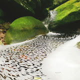 Formas de la naturaleza (Brasil)