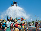 p1238295155(5).jpg