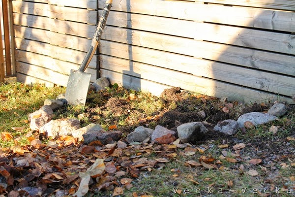 IMG_2926 IMG_2926