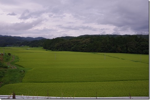 IMGP8382 IMGP8382