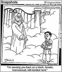 c0 In this cartoon, Hitler is trying to enter Heaven, and God says, "I'm sending you back as a black female homosexual."