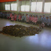 2013-10-23 13.43.30.jpg