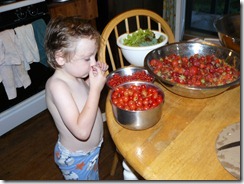 cherries, strawberries, currants 026