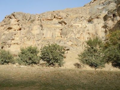 DSCN4061.jpg
