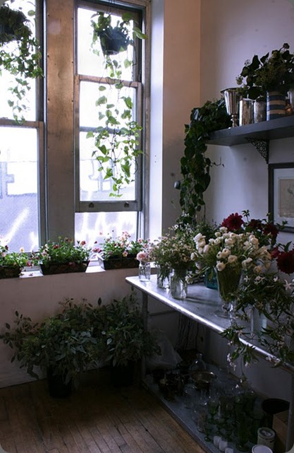 studio ariel dearie studio ariel dearie