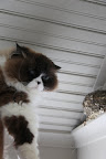Oh no! - Mummy's back and she doesn't sound too happy.