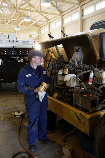 ' Well Sharkey, where did you get such a vast knowledge of mechanics?'