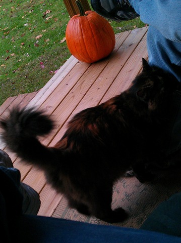 [porch%25205%255B5%255D.jpg]