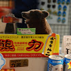 hokkaido_624.jpg