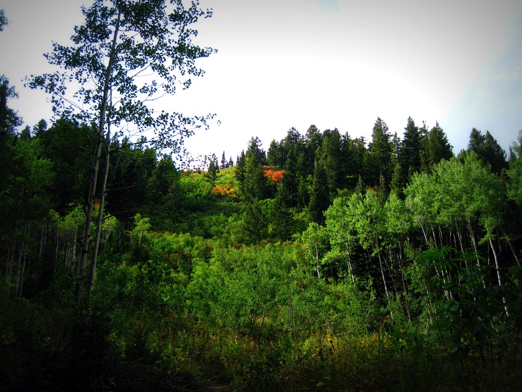 [IMG_4883%255B12%255D.jpg]