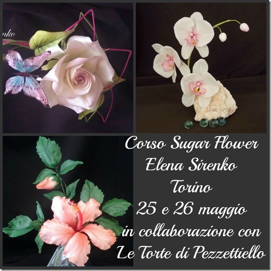 Corsi di Fiori con Elena Sirenko