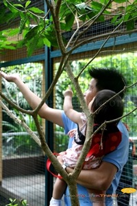 Langkawi Wildlife Park Langkawi Wildlife Park