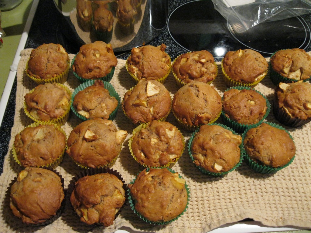 [cup%2520cakes%2520010%255B3%255D.jpg]