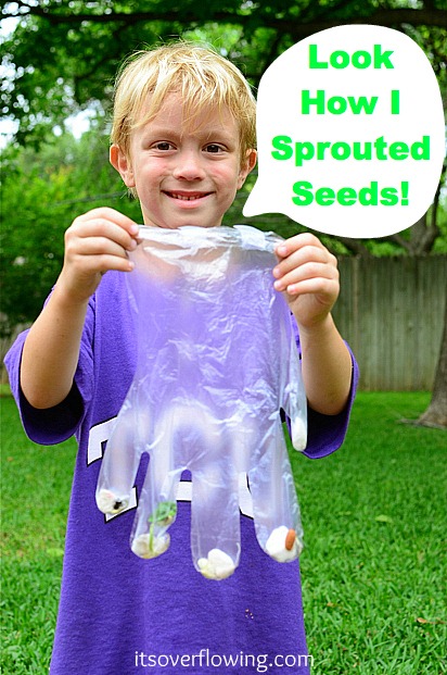 [50%2520how%2520to%2520sprout%2520seeds%255B4%255D.jpg]