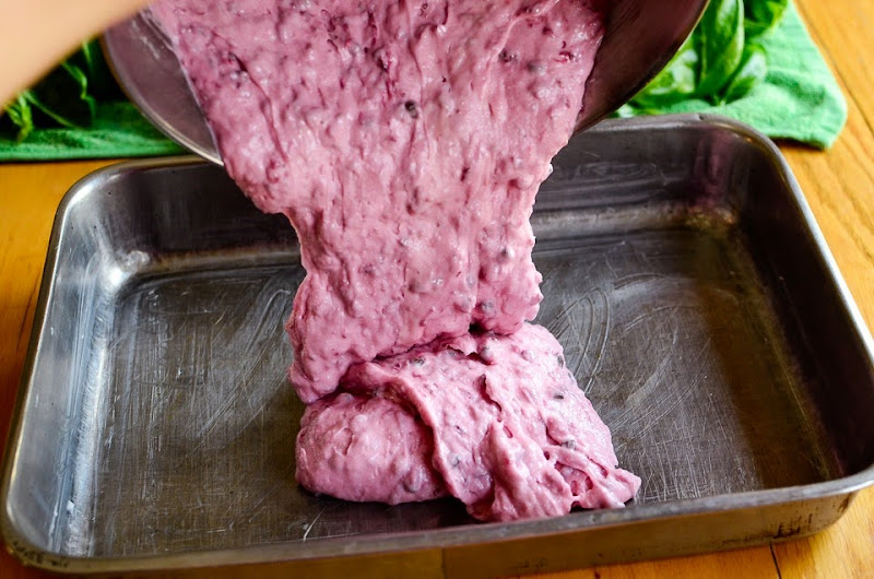 chocolate chip beet cake -16014 chocolate chip beet cake -16014