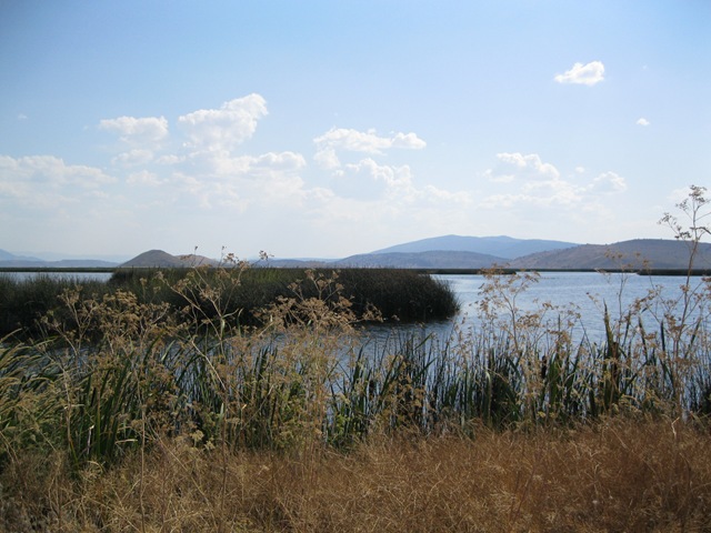 [110909145211H2.jpg]