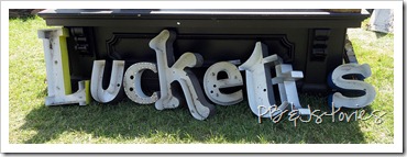 lucketts fair 27