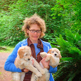 Labradoodle Breeder<br />
Melanie's GorgeousDoodles
