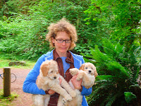 Labradoodle Breeder<br />
Melanie's GorgeousDoodles
