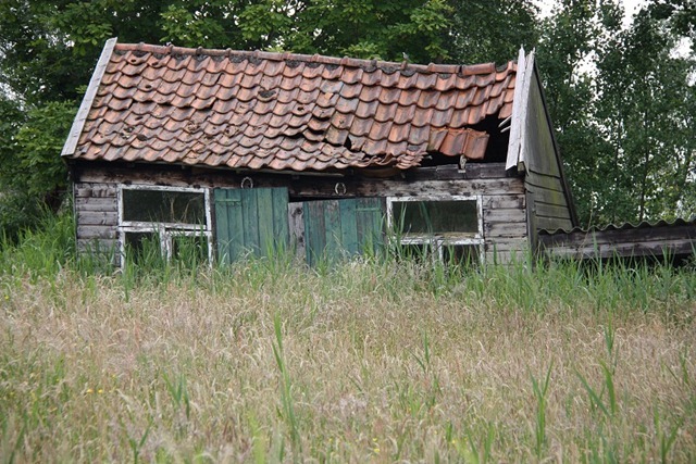 hoog gras hoog gras