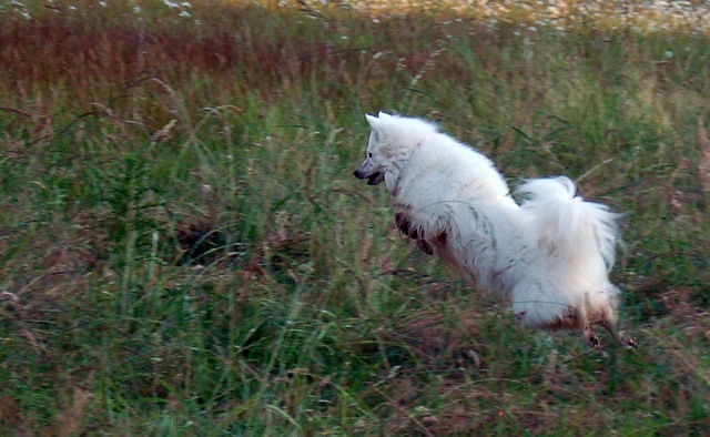 [DSC_6299%255B4%255D.jpg]