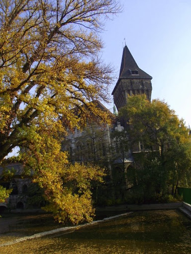DSCF5744.JPG