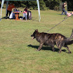 IMG_3139.JPG