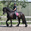 Clinic Herman Wientjes 15 juli 2011 Clinic Herman Wientjes 15 juli 2011