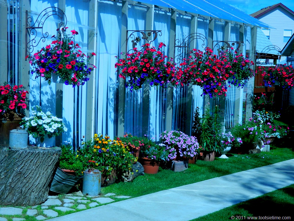 [DSCN1054%255B11%255D.jpg]