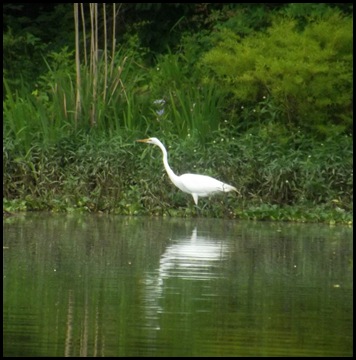 Paddle on Prairie Creek 093A