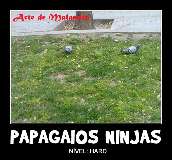 UpFoto