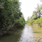 DSCN7184.JPG