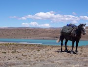 Voyage en Patagonie à cheval