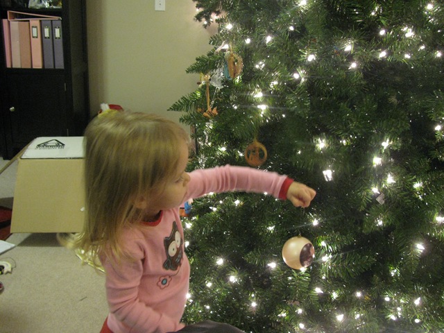 [IMG_36672.jpg]