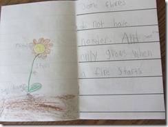 IMG_0664 IMG_0664