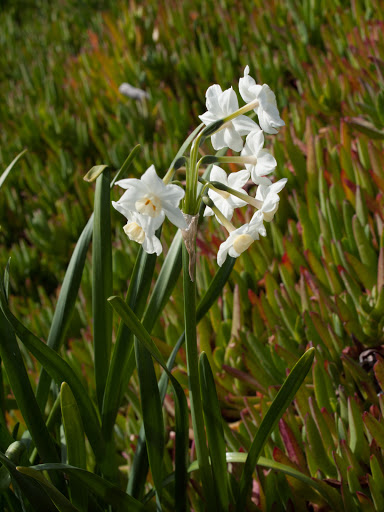 P3259225
