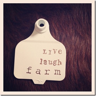 live laugh farm