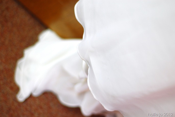 Wedding28 Wedding28